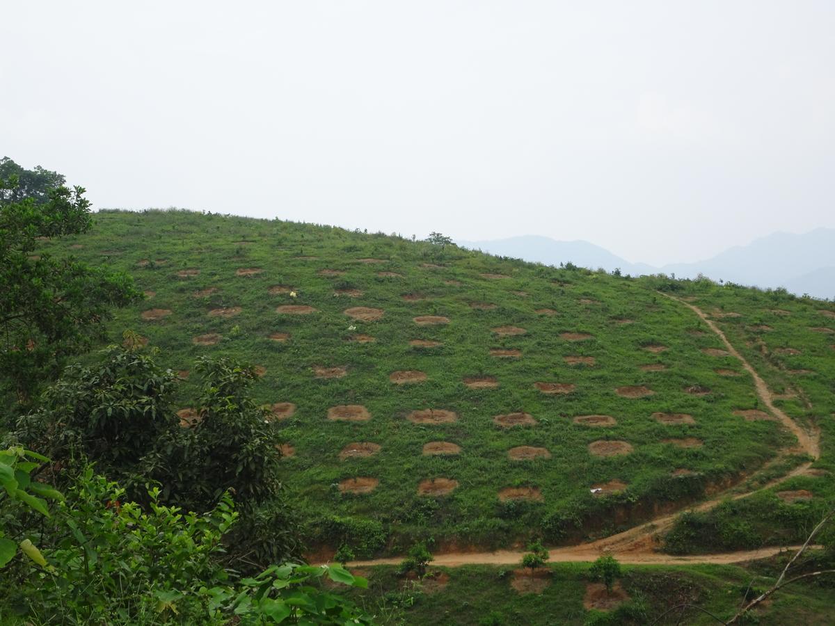 Thac Ba Family Homestay Ho To Exterior photo